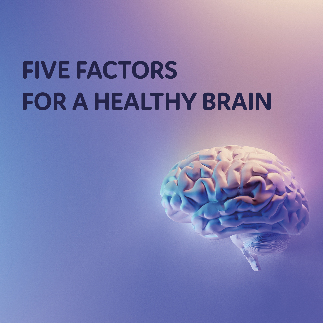Five factors for a healthy brain