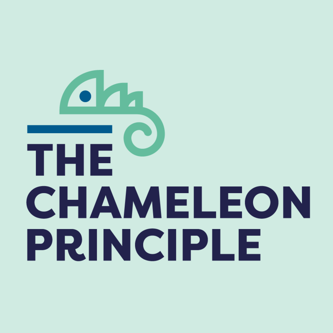 Discover our Chameleon Principle